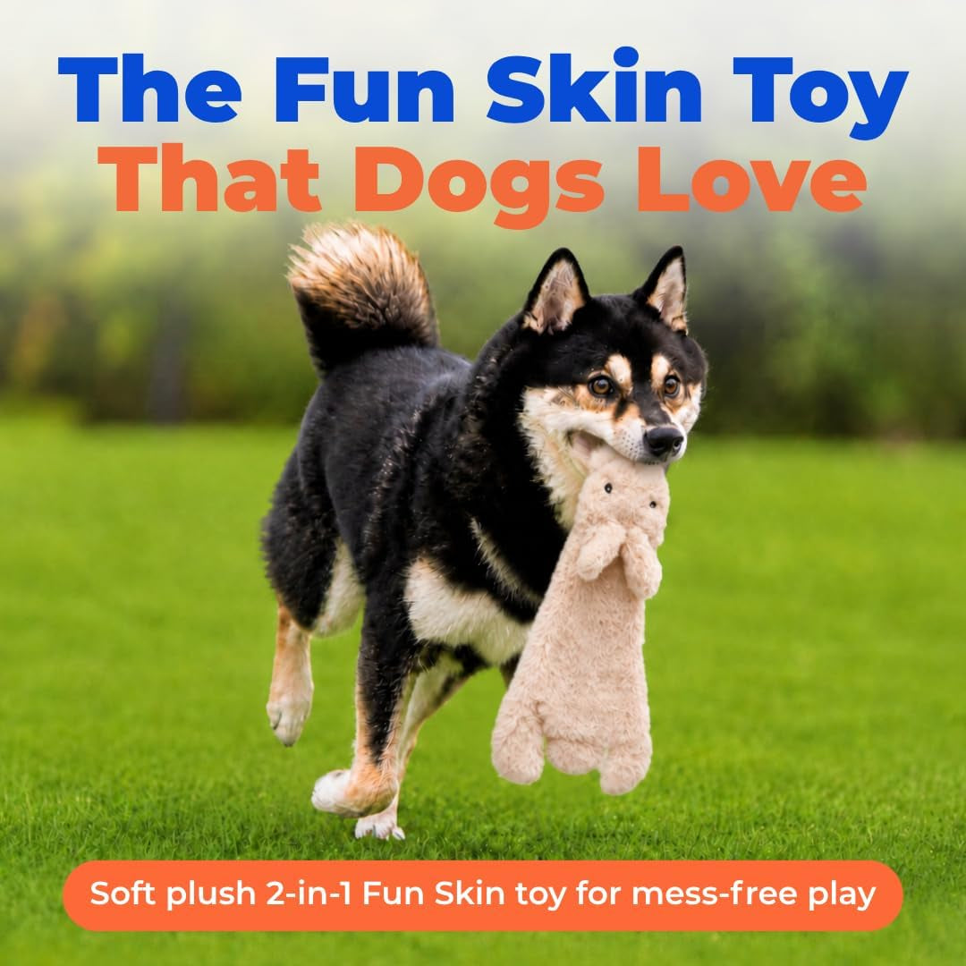 Best Pet Supplies 2-In-1 Stuffless Squeaky Dog Toy - Hare, Medium