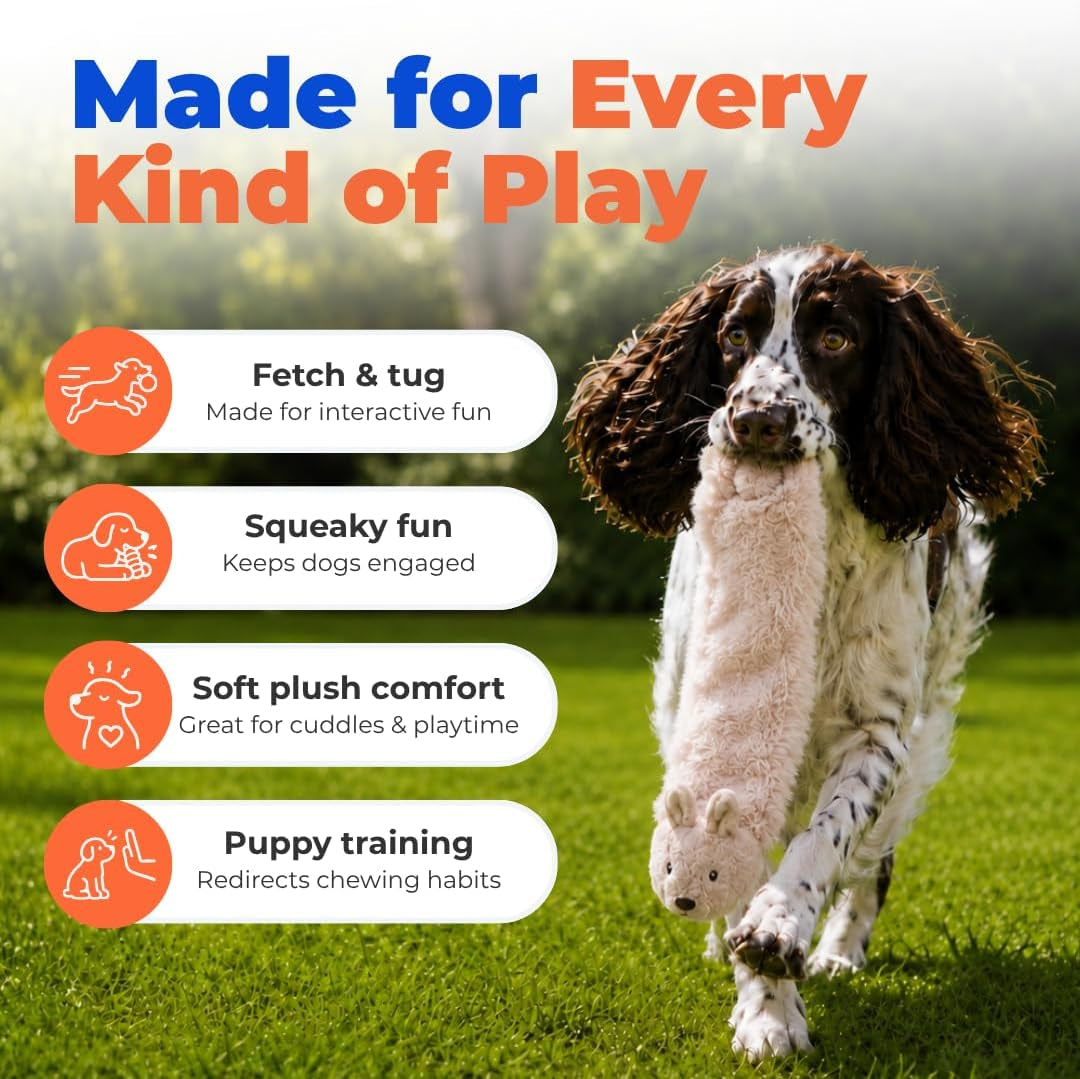Best Pet Supplies 2-In-1 Stuffless Squeaky Dog Toy - Hare, Medium